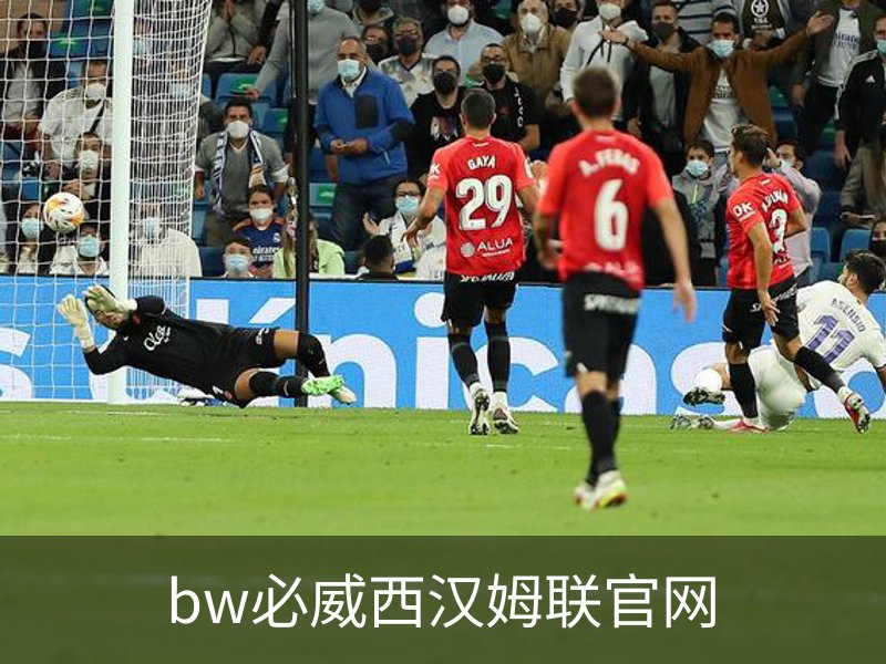 bw必威西汉姆联官网概况